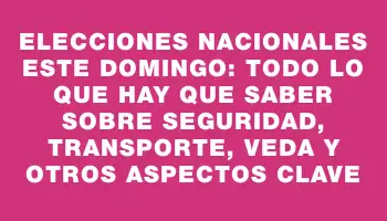 Elecciones nacionales este domingo: todo lo que hay que saber sobre seguridad, transporte, veda y otros aspectos clave