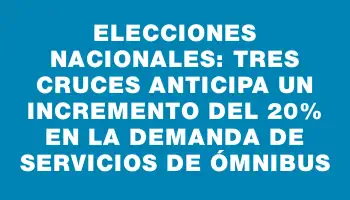 Elecciones Nacionales: Tres Cruces anticipa un incremento del 20% en la demanda de servicios de ómnibus