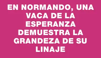 En Normando, una vaca de La Esperanza demuestra la grandeza de su linaje