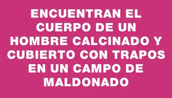 Encuentran el cuerpo de un hombre calcinado y cubierto con trapos en un campo de Maldonado