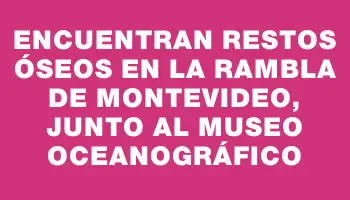 Encuentran restos óseos en la rambla de Montevideo, junto al museo Oceanográfico