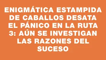 Enigmática estampida de caballos desata el pánico en la Ruta 3: aún se investigan las razones del suceso