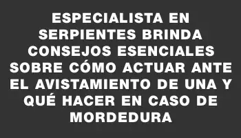 Especialista en serpientes brinda consejos esenciales sobre cómo actuar ante el avistamiento de una y qué hacer en caso de mordedura