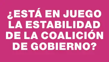 ¿Está en juego la estabilidad de la coalición de gobierno?