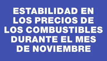 Estabilidad en los precios de los combustibles durante el mes de noviembre