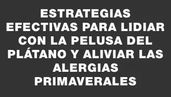 Estrategias efectivas para lidiar con la pelusa del plátano y aliviar las alergias primaverales