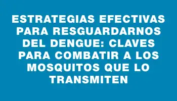 Estrategias efectivas para resguardarnos del dengue: Claves para combatir a los mosquitos que lo transmiten