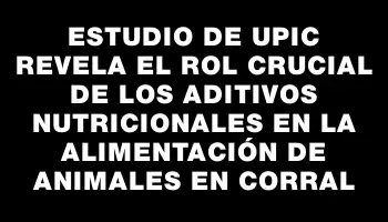 Estudio de Upic revela el rol crucial de los aditivos nutricionales en la alimentación de animales en corral