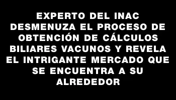 Experto del Inac desmenuza el proceso de obtención de cálculos biliares vacunos y revela el intrigante mercado que se encuentra a su alrededor