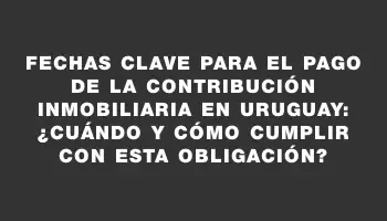 Fechas clave para el pago de la contribución inmobiliaria en Uruguay: ¿Cuándo y cómo cumplir con esta obligación?