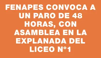 Fenapes convoca a un paro de 48 horas, con asamblea en la explanada del Liceo Nº1