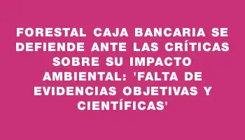 Forestal Caja Bancaria se defiende ante las críticas sobre su impacto ambiental: “falta de evidencias objetivas y científicas”