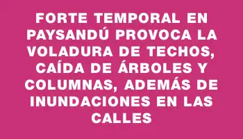 Forte temporal en Paysandú provoca la voladura de techos, caída de árboles y columnas, además de inundaciones en las calles