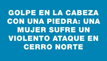 Golpe en la cabeza con una piedra: una mujer sufre un violento ataque en Cerro Norte