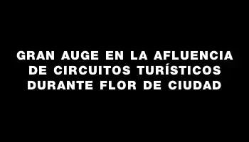 Gran auge en la afluencia de circuitos turísticos durante Flor de Ciudad