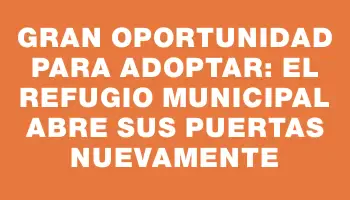 Gran oportunidad para adoptar: el Refugio Municipal abre sus puertas nuevamente