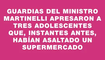 Guardias del ministro Martinelli apresaron a tres adolescentes que, instantes antes, habían asaltado un supermercado