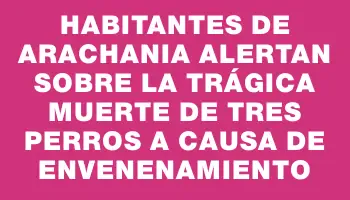 Habitantes de Arachania alertan sobre la trágica muerte de tres perros a causa de envenenamiento