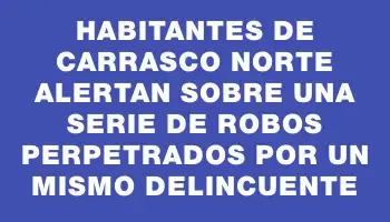 Habitantes de Carrasco Norte alertan sobre una serie de robos perpetrados por un mismo delincuente