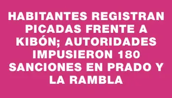 Habitantes registran picadas frente a Kibón; autoridades impusieron 180 sanciones en Prado y la rambla