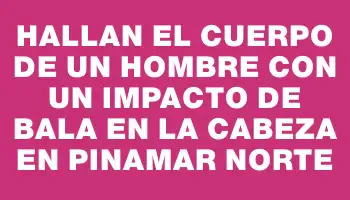 Hallan el cuerpo de un hombre con un impacto de bala en la cabeza en Pinamar Norte