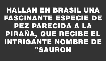 Hallan en Brasil una fascinante especie de pez parecida a la piraña, que recibe el intrigante nombre de 