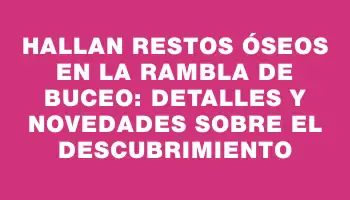 Hallan restos óseos en la rambla de Buceo: detalles y novedades sobre el descubrimiento