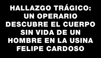 Hallazgo trágico: un operario descubre el cuerpo sin vida de un hombre en la usina Felipe Cardoso