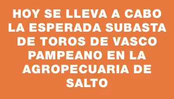 Hoy se lleva a cabo la esperada subasta de toros de Vasco Pampeano en la Agropecuaria de Salto