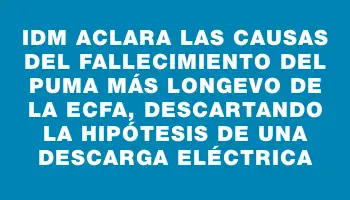 Idm aclara las causas del fallecimiento del puma más longevo de la Ecfa, descartando la hipótesis de una descarga eléctrica