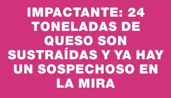 Impactante: 24 toneladas de queso son sustraídas y ya hay un sospechoso en la mira