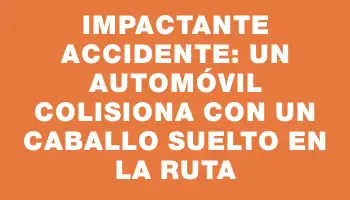 Impactante accidente: Un automóvil colisiona con un caballo suelto en la ruta