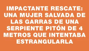 Impactante rescate: una mujer salvada de las garras de una serpiente pitón de 4 metros que intentaba estrangularla