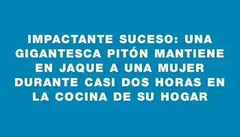Impactante suceso: una gigantesca pitón mantiene en jaque a una mujer durante casi dos horas en la cocina de su hogar