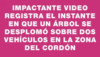 Impactante video registra el instante en que un árbol se desplomó sobre dos vehículos en la zona del Cordón