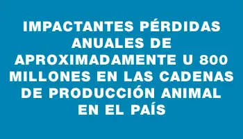 Impactantes pérdidas anuales de aproximadamente U$s 800 millones en las cadenas de producción animal en el país