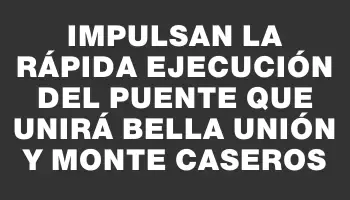 Impulsan la rápida ejecución del puente que unirá Bella Unión y Monte Caseros