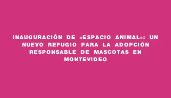 Inauguración de «Espacio Animal»: Un Nuevo Refugio para la Adopción Responsable de Mascotas en Montevideo