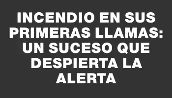 Incendio en sus primeras llamas: un suceso que despierta la alerta