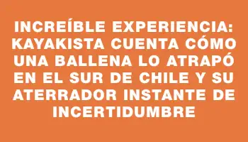 Increíble experiencia: kayakista cuenta cómo una ballena lo atrapó en el sur de Chile y su aterrador instante de incertidumbre