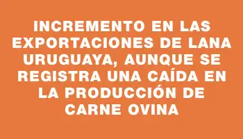 Incremento en las exportaciones de lana uruguaya, aunque se registra una caída en la producción de carne ovina