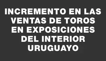 Incremento en las ventas de toros en exposiciones del Interior uruguayo