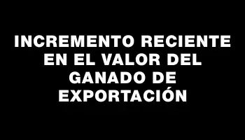 Incremento reciente en el valor del ganado de exportación