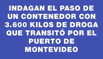 Indagan el paso de un contenedor con 3.600 kilos de droga que transitó por el puerto de Montevideo