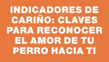 Indicadores de Cariño: Claves para Reconocer el Amor de Tu Perro hacia Ti