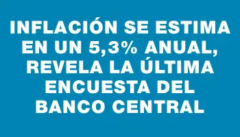 Inflación se estima en un 5,3% anual, revela la última encuesta del Banco Central