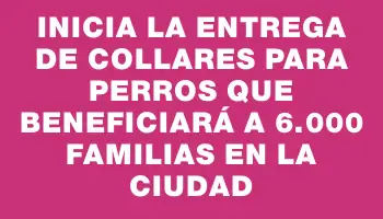 Inicia la entrega de collares para perros que beneficiará a 6.000 familias en la ciudad