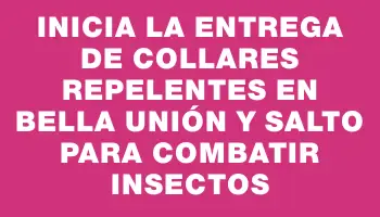 Inicia la entrega de collares repelentes en Bella Unión y Salto para combatir insectos