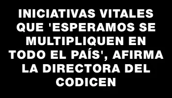 Iniciativas vitales que 