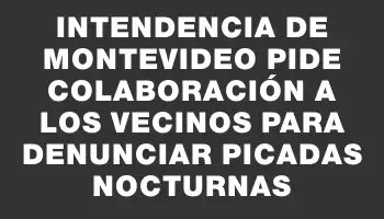 Intendencia de Montevideo pide colaboración a los vecinos para denunciar picadas nocturnas